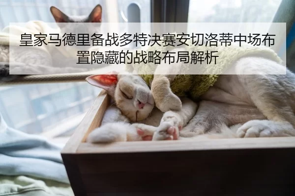皇家马德里备战多特决赛安切洛蒂中场布置隐藏的战略布局解析